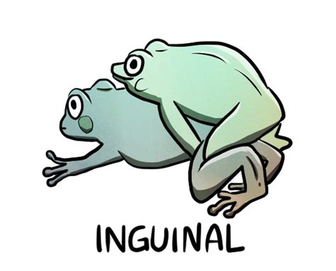 the frog sex position|Leap Frog : r/SexPositionFinder